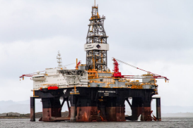 Great White Yard Stay 2026