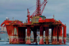 Borgland Dolphin Zamakona Yard Stay 2026